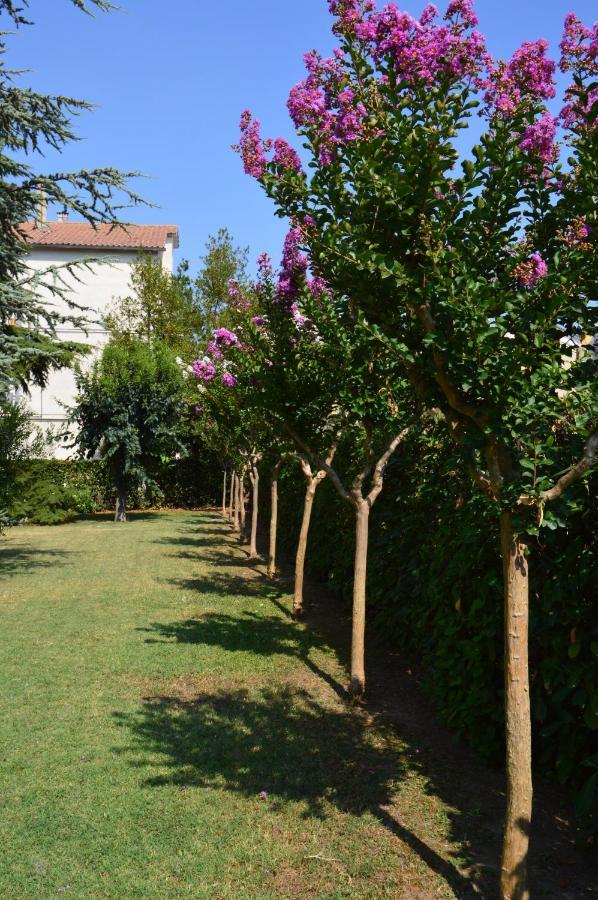 B&B Villa Lupidi Corridonia Exterior foto
