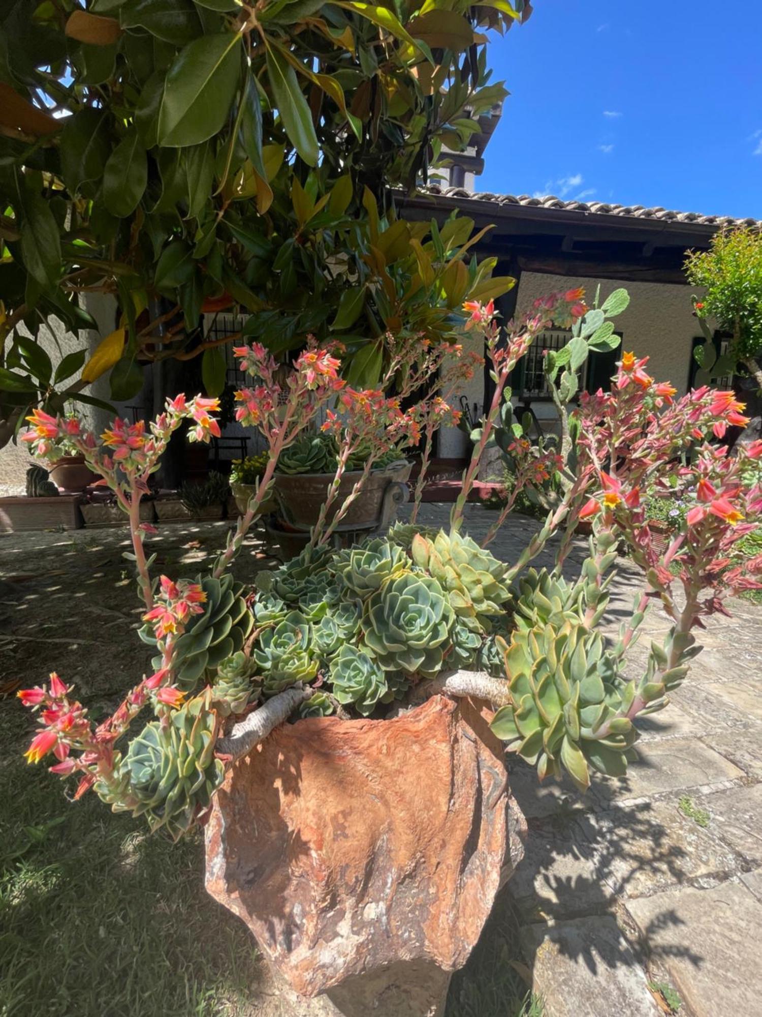 B&B Villa Lupidi Corridonia Exterior foto